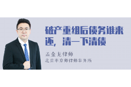 扬州为什么选择专业追讨公司来处理您的债务纠纷？